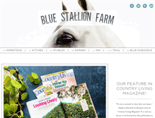 Tablet Screenshot of bluestallionfarm.com